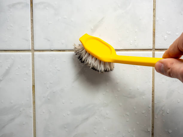 Best Mold Remediation  in Molalla, OR
