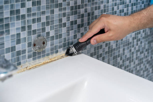 Best Mold Cleaning Services  in Molalla, OR