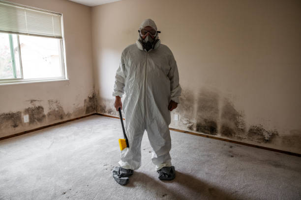 Best Local Mold Removal Service  in Molalla, OR