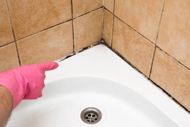 Best Mold Testing  in Molalla, OR